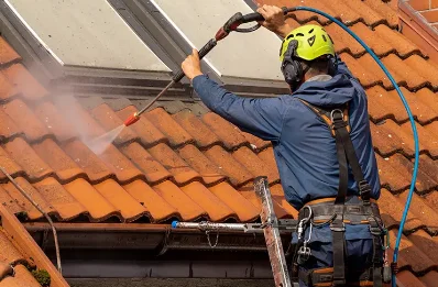 Démoussage et hydrofuge de toiture à Pionnat